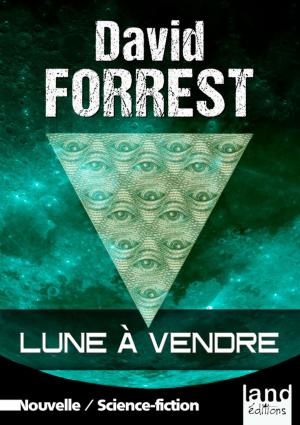 Cover of the book Lune à vendre by Allison M. Boot