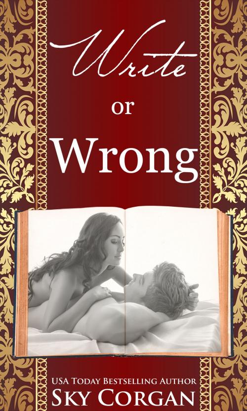 Cover of the book Write or Wrong by Sky Corgan, Sky Corgan