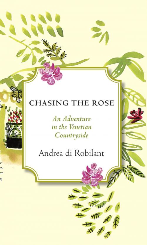 Cover of the book Chasing the Rose by Andrea Di Robilant, Knopf Doubleday Publishing Group