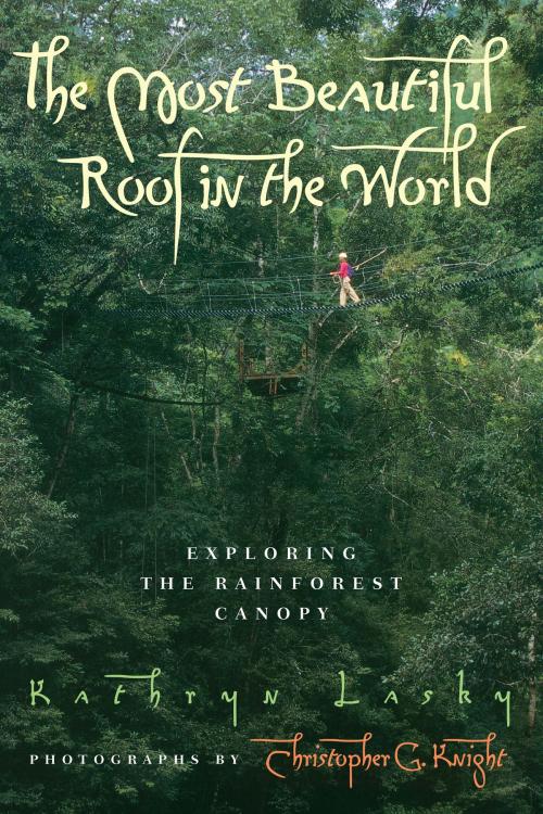 Cover of the book The Most Beautiful Roof in the World by Kathryn Lasky, Christopher G. Knight, HMH Books