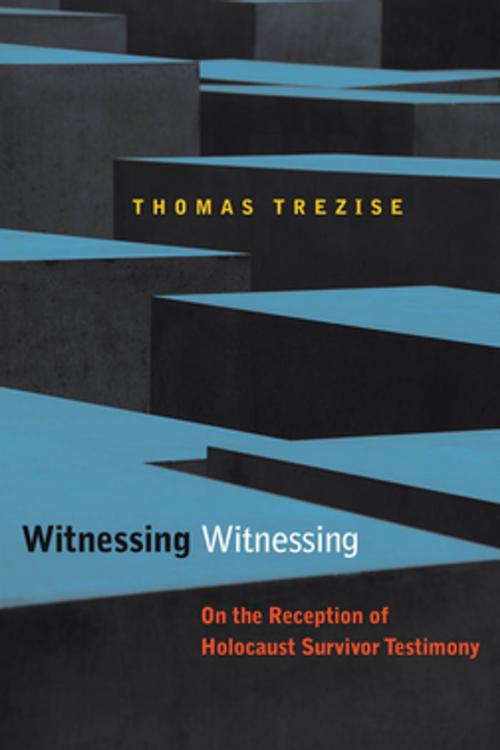 Cover of the book Witnessing Witnessing by Thomas Trezise, Fordham University Press