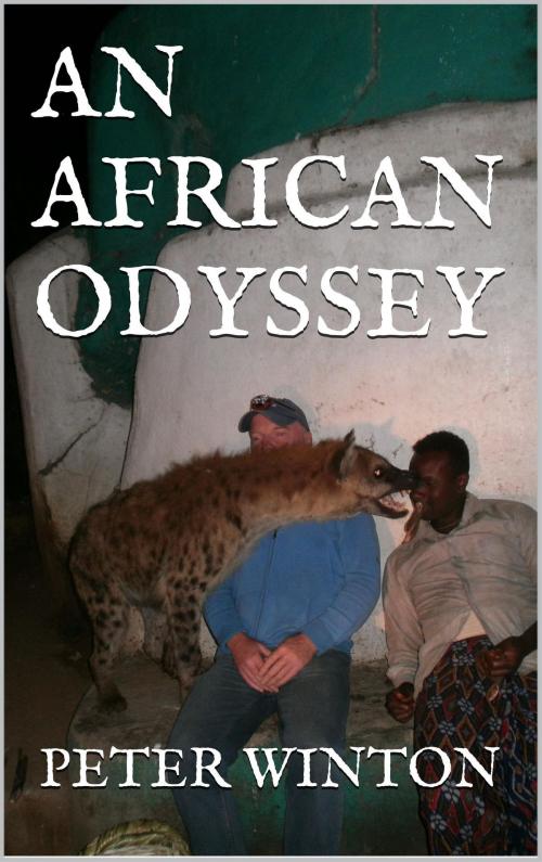 Cover of the book An African Odyssey by Peter Winton, Peter Winton