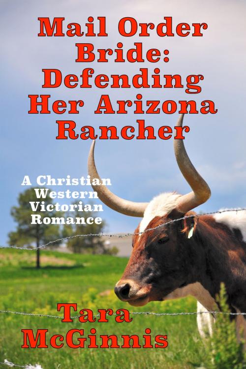 Cover of the book Mail Order Bride: Defending Her Arizona Rancher by Tara McGinnis, Susan Hart