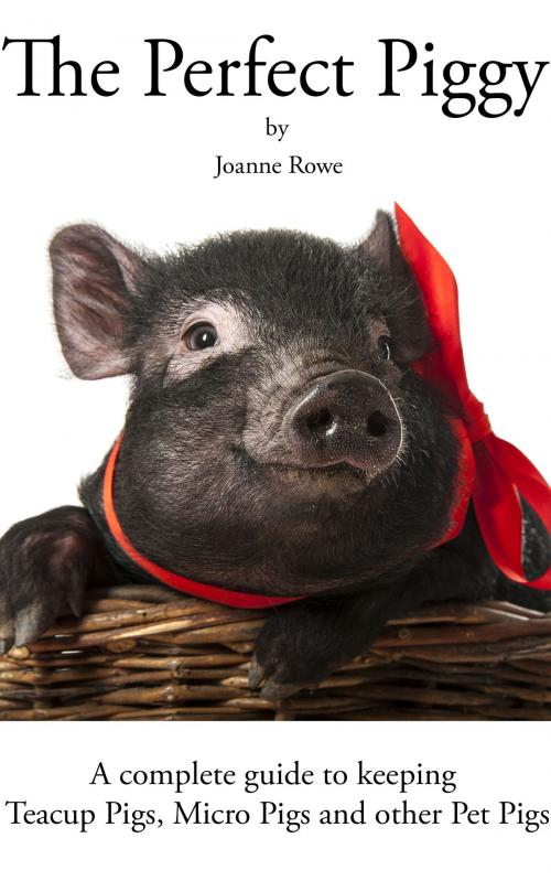 Cover of the book The Perfect Piggy: A guide to Teacup Pigs, Micro Pigs and other Pet Pigs by Joanne Rowe, Joanne Rowe