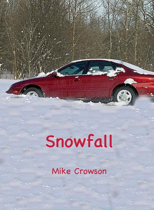 Cover of the book Snowfall by Mike Crowson, Mike Crowson