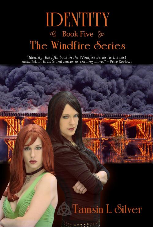 Cover of the book Identity (Book 5 - Windfire Series) by Tamsin Silver, Tamsin Silver