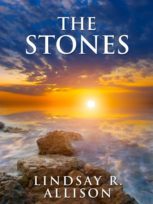 Cover of the book The Stones by Lindsay R. Allison, The Awakened Press