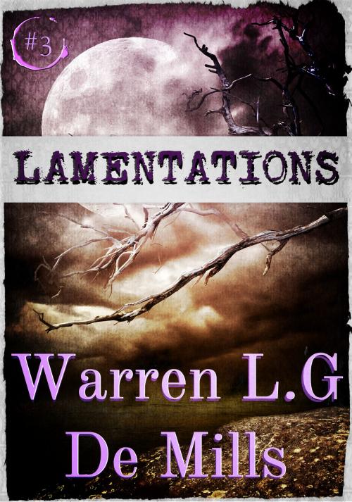 Cover of the book Lamentations: Collection of Poetry Volume 3 by Warren L.G De Mills, Warren L.G De Mills