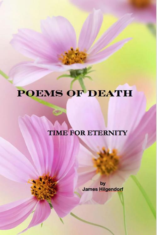 Cover of the book Poems of Death: Time for Eternity by James Hilgendorf, James Hilgendorf