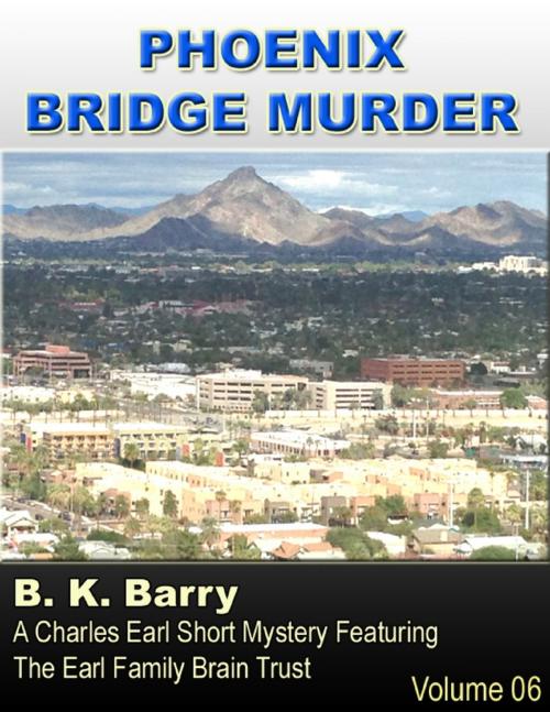 Cover of the book Phoenix Bridge Murder by B. K. Barry, Lulu.com