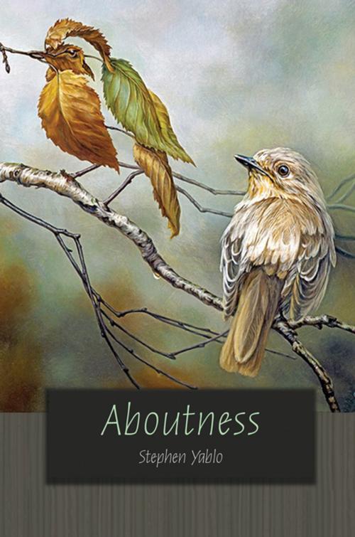 Cover of the book Aboutness by Stephen Yablo, Princeton University Press