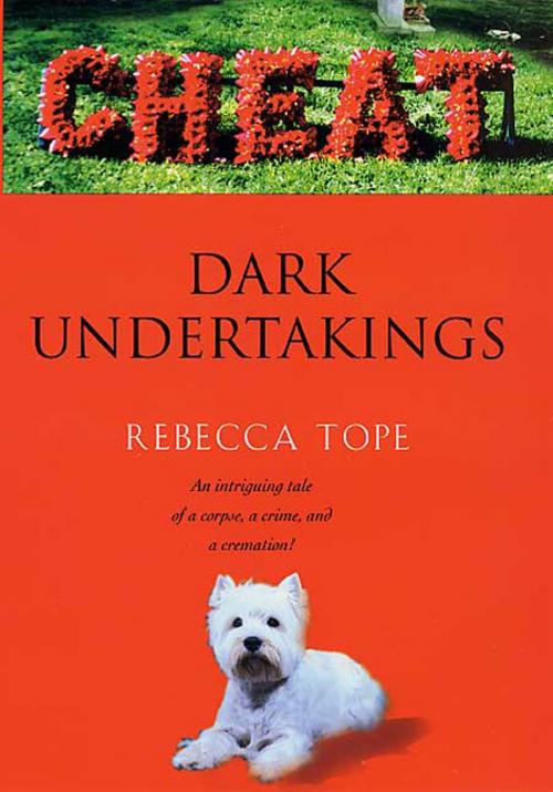 Cover of the book Dark Undertakings by Rebecca Tope, St. Martin's Press