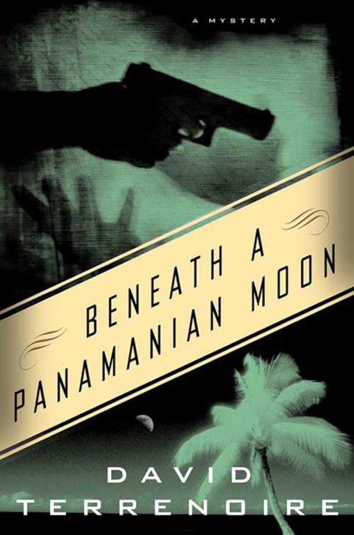 Cover of the book Beneath a Panamanian Moon by David Terrenoire, St. Martin's Press