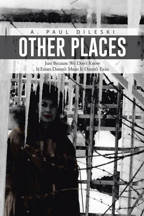 Cover of the book Other Places by A. Paul Dileski, Trafford Publishing
