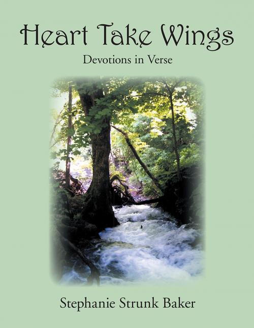 Cover of the book Heart Take Wings by Stephanie Strunk Baker, WestBow Press