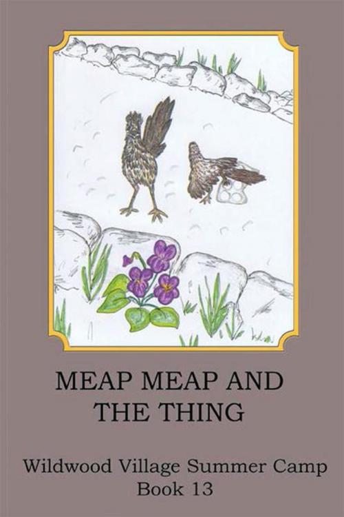 Cover of the book Meap Meap and the Thing by Joann Ellen Sisco, AuthorHouse