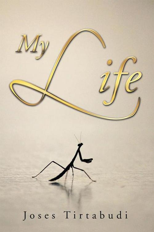 Cover of the book My Life by Joses Tirtabudi, Xlibris AU