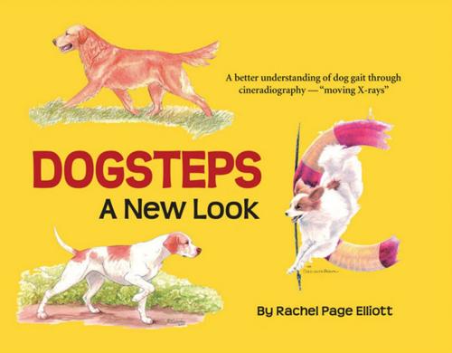 Cover of the book Dogsteps by Rachel Page Elliott, CompanionHouse Books