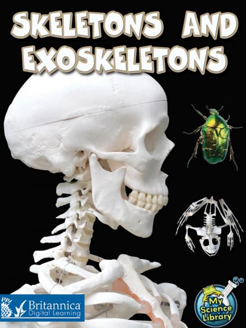 Cover of the book Skeletons and Exoskeletons by Julie K. Lundgren, Britannica Digital Learning