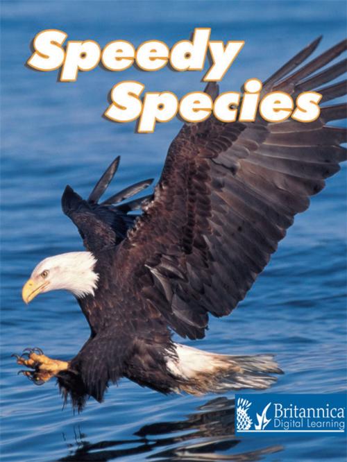 Cover of the book Speedy Species by David and Patricia Armentrout, Britannica Digital Learning