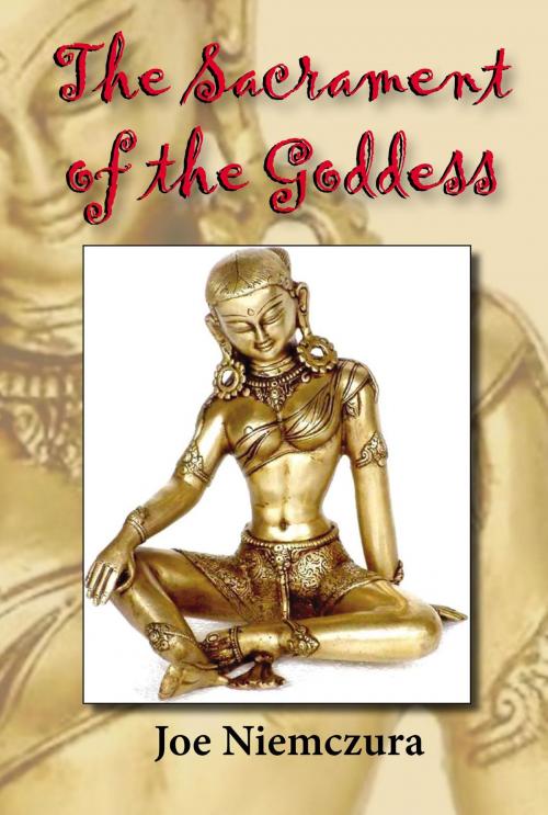 Cover of the book The Sacrament of the Goddess by Joe Niemczura, Plain View Press, LLC