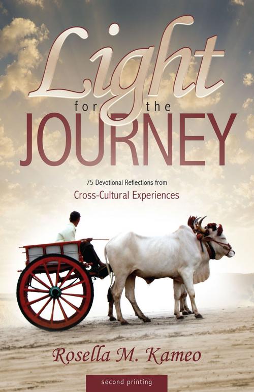 Cover of the book Light for the Journey by Rosella Kameo, Redemption Press