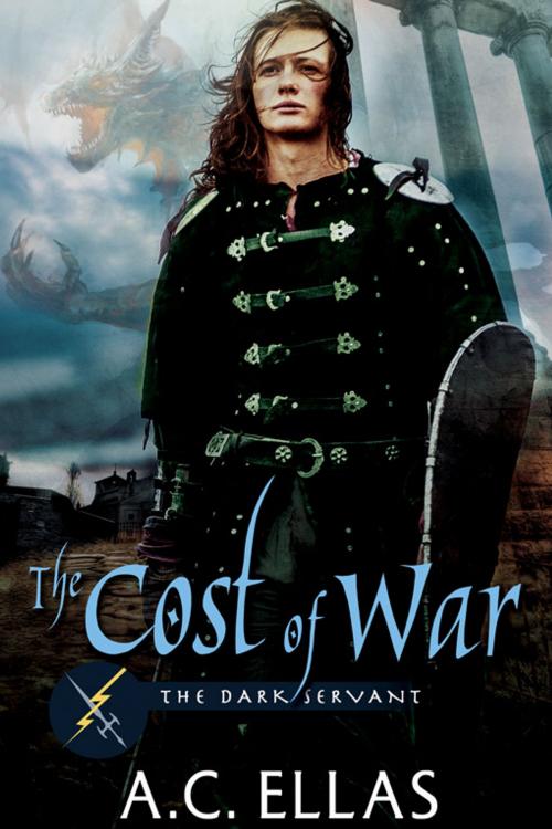 Cover of the book The Cost of War by A.C. Ellas, eXtasy Books Inc