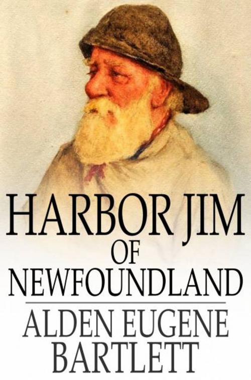 Cover of the book Harbor Jim of Newfoundland by Alden Eugene Bartlett, The Floating Press