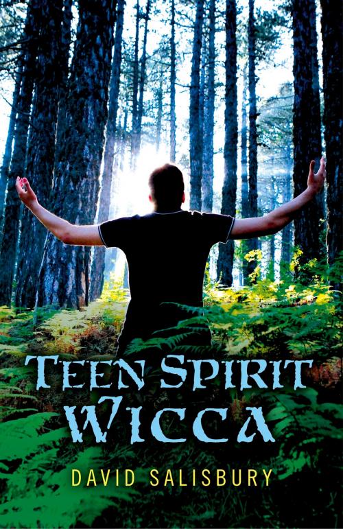 Cover of the book Teen Spirit Wicca by David Salisbury, John Hunt Publishing