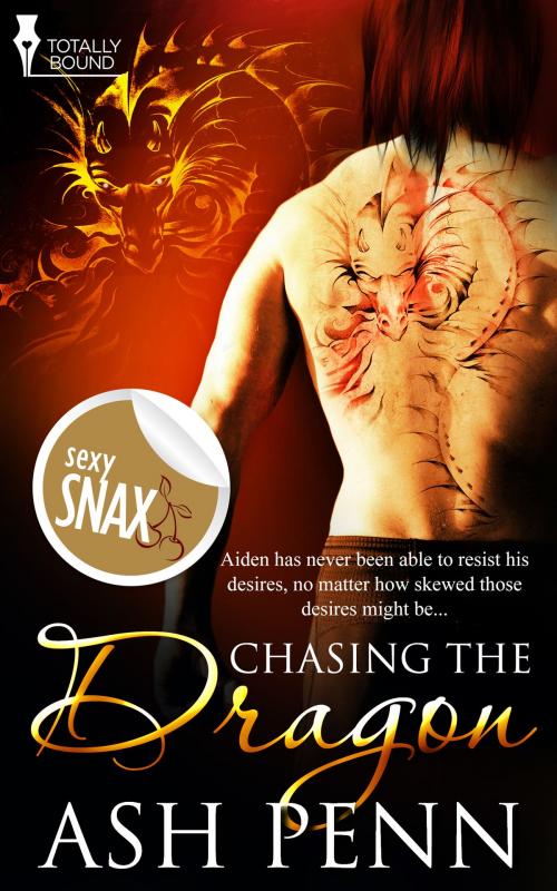 Cover of the book Chasing the Dragon by Ash Penn, Totally Entwined Group Ltd