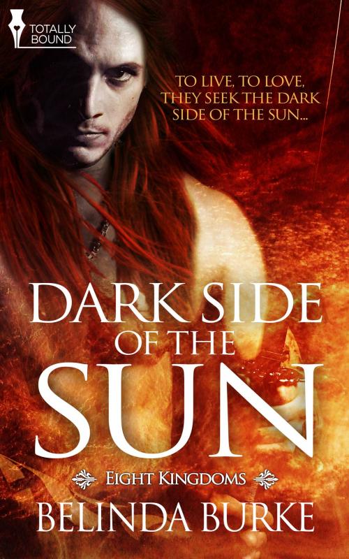 Cover of the book Dark Side of the Sun by Belinda Burke, Totally Entwined Group Ltd