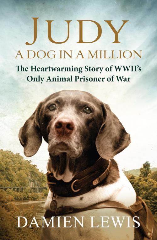 Cover of the book Judy: A Dog in a Million by Damien Lewis, Quercus Publishing