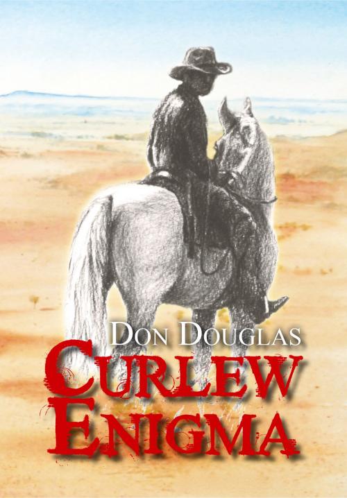 Cover of the book Curlew Enigma by Don Douglas, Boolarong Press