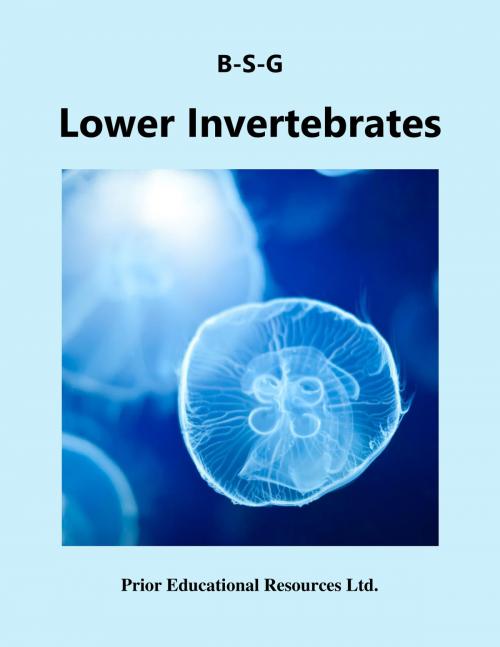 Cover of the book Lower Invertebrates by Roger Prior, Prior Educational Resources