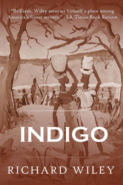 Cover of the book Indigo by Richard Wiley, Dzanc Books