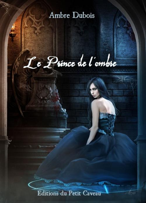 Cover of the book Le Prince de l'ombre by Ambre Dubois, éditions du Petit Caveau