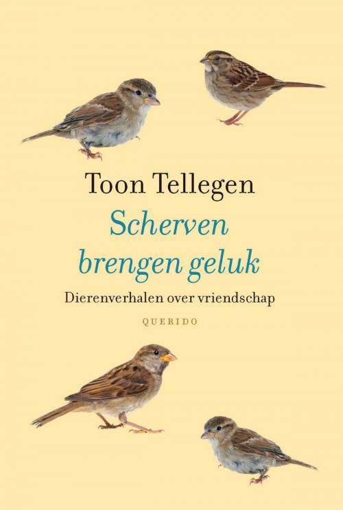 Cover of the book Scherven brengen geluk by Toon Tellegen, Singel Uitgeverijen