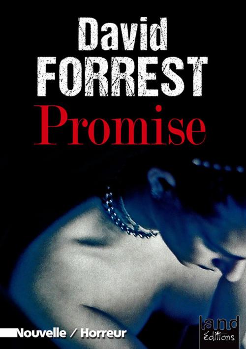 Cover of the book Promise by David Forrest, Land Éditions