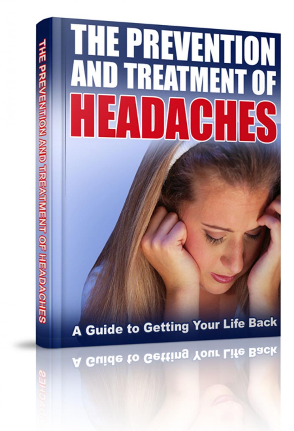 Big bigCover of The Prevention and Treatment of Headaches