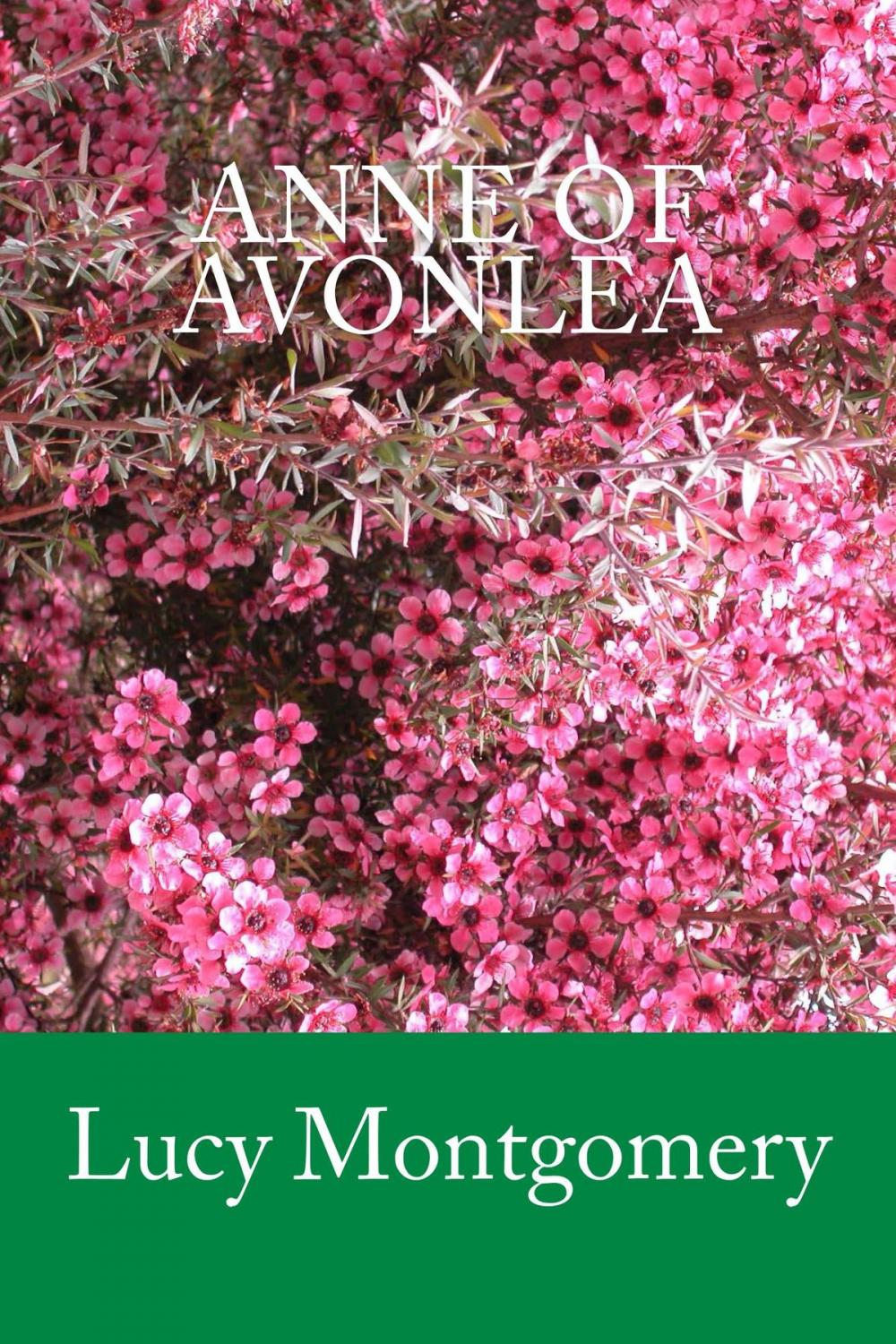 Big bigCover of Anne of Avonlea