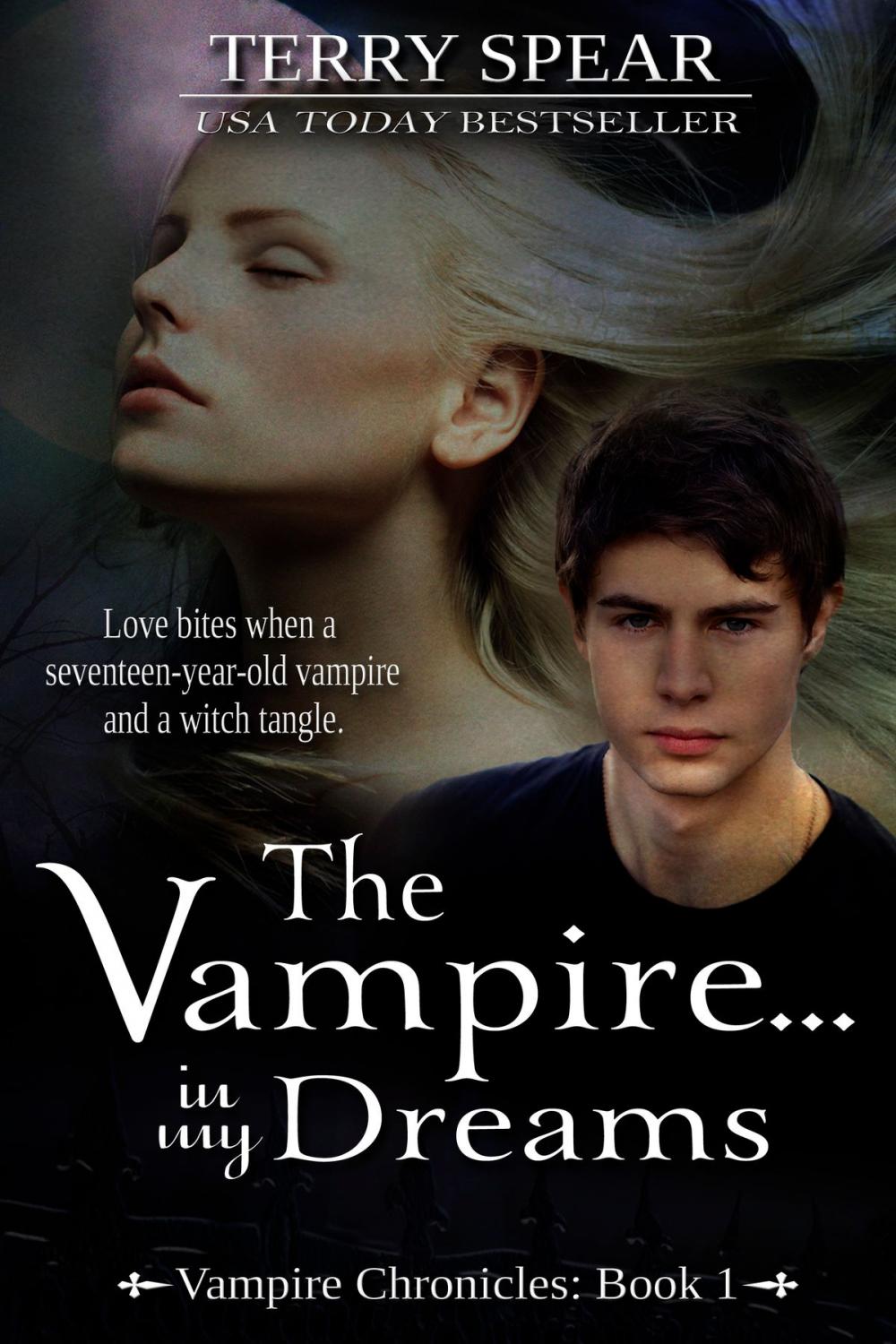 Big bigCover of The Vampire...In My Dreams