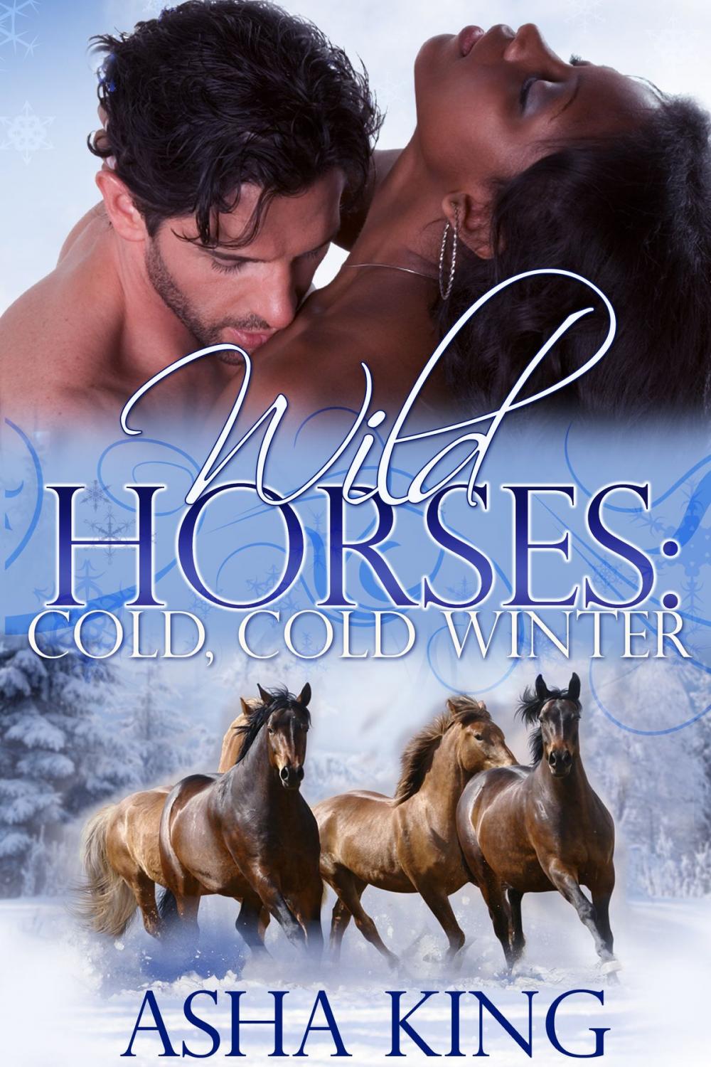 Big bigCover of Wild Horses: Cold, Cold Winter