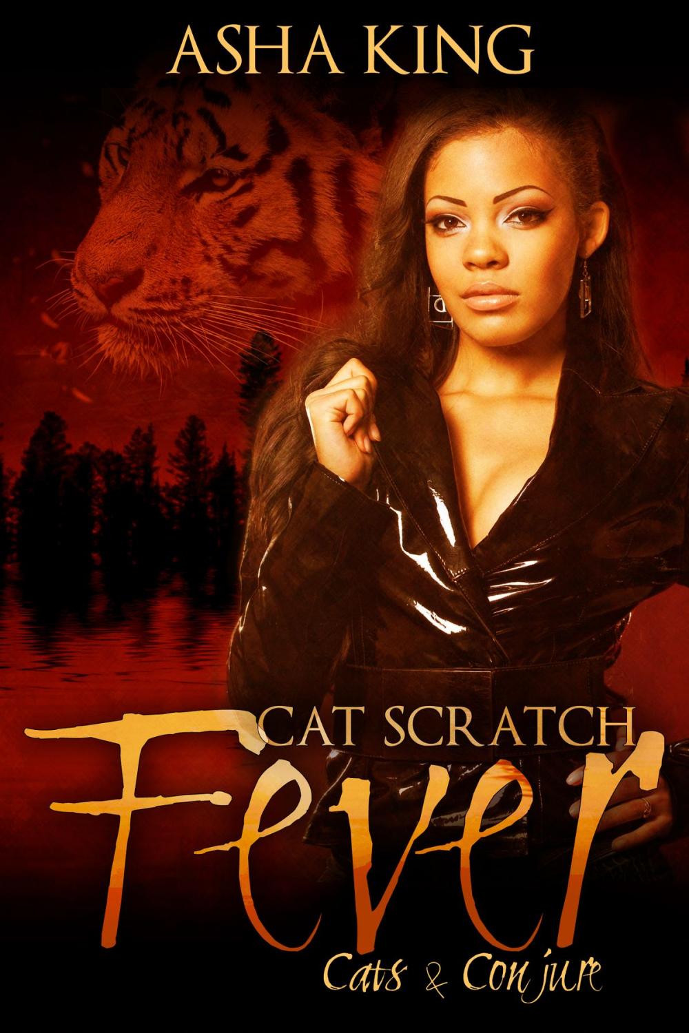 Big bigCover of Cat Scratch Fever