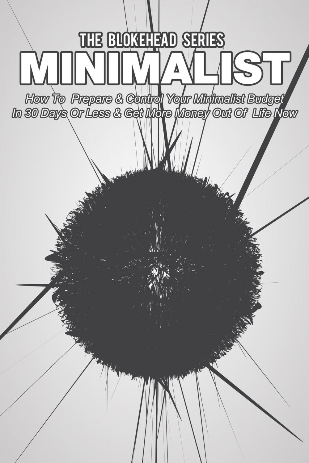 Big bigCover of Minimalist: How To Prepare & Control Your Minimalist Budget In 30 Days Or Less & Get More Money Out Of Life Now