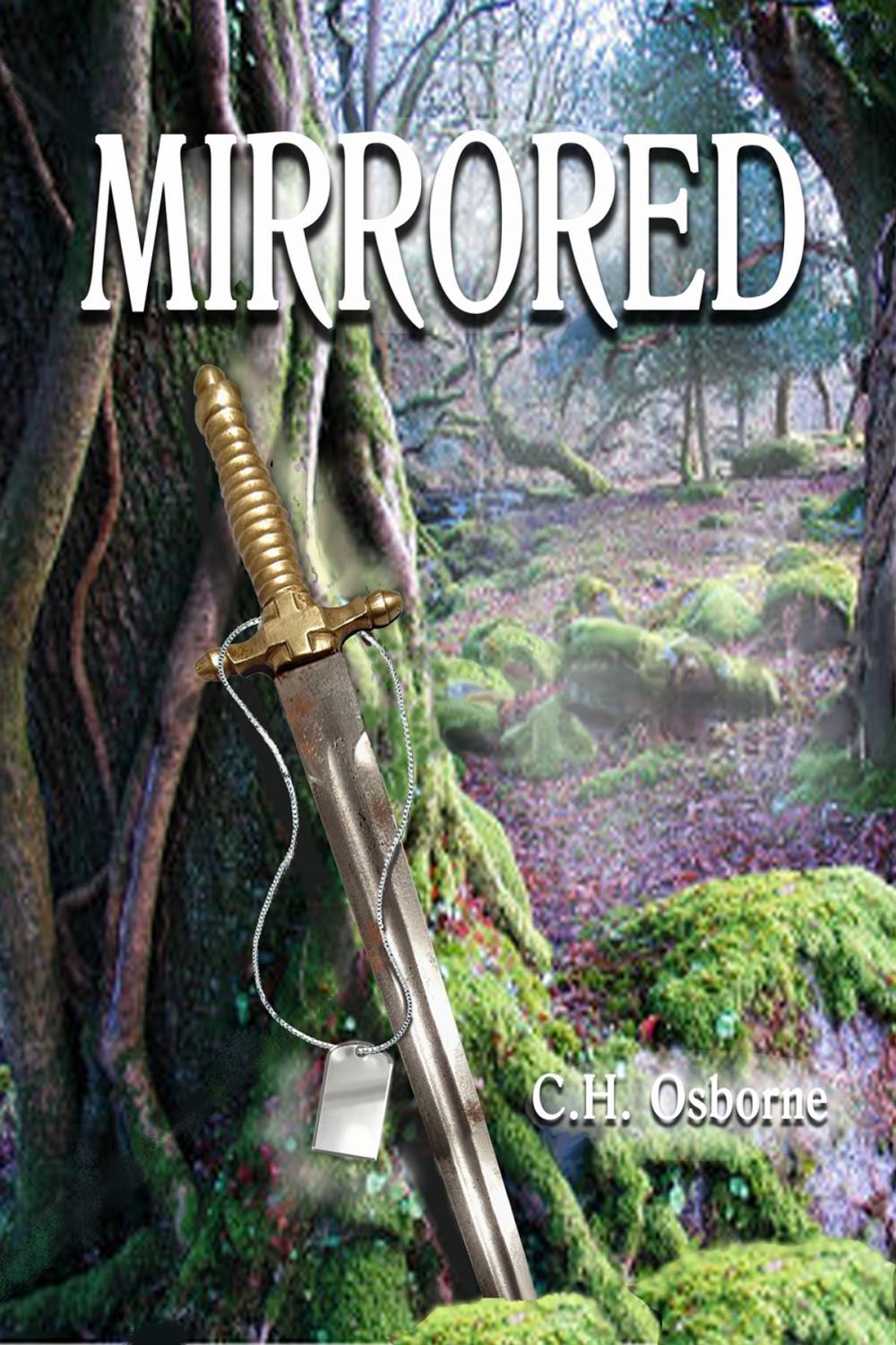 Big bigCover of MIRRORED