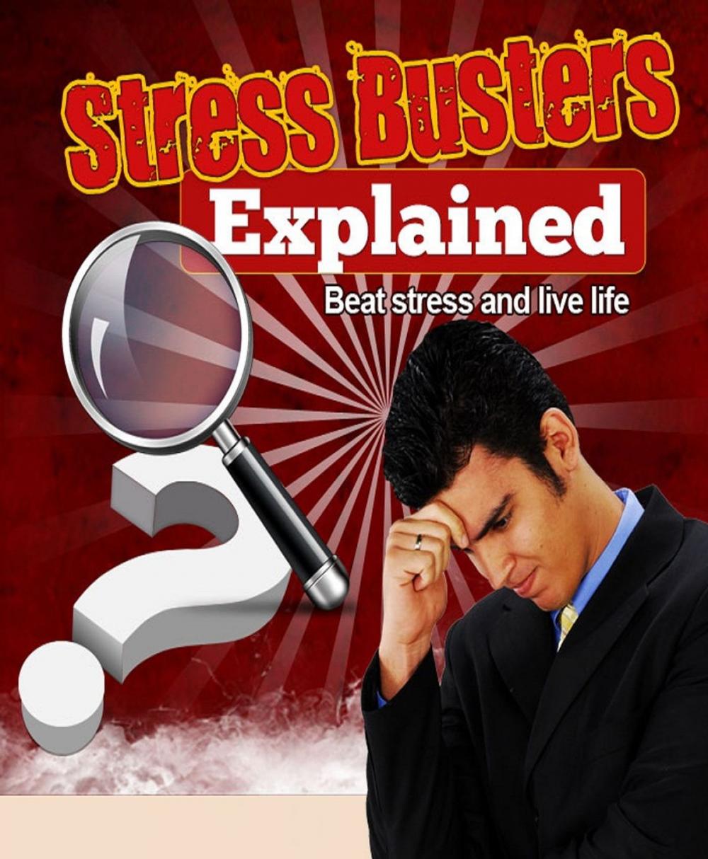 Big bigCover of Stress Busters Explained