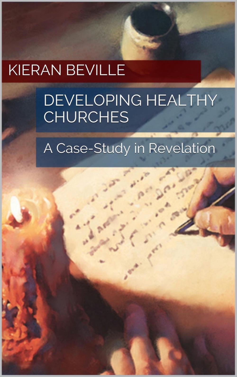 Big bigCover of DEVELOPING HEALTHY CHURCHES