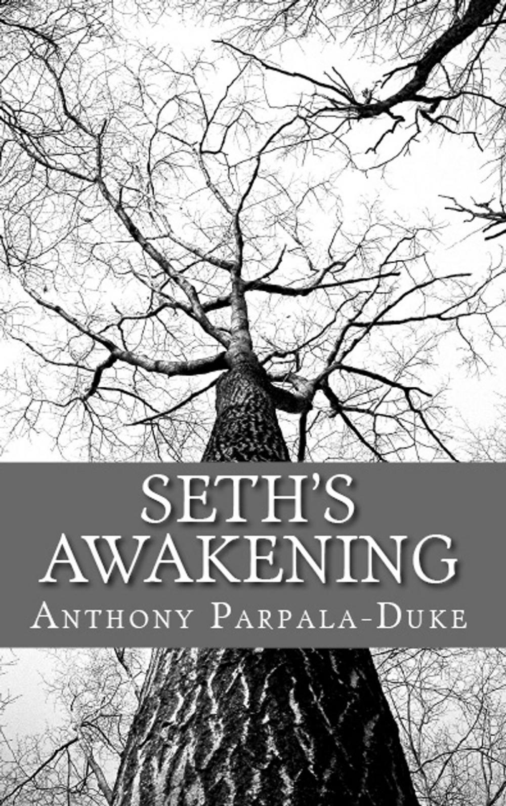 Big bigCover of Seth's Awakening