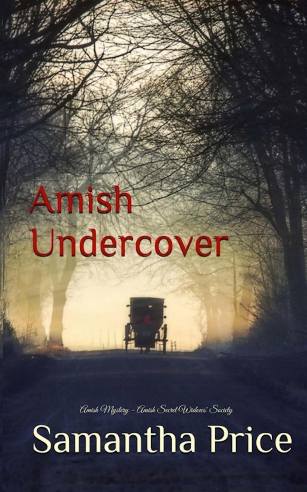 Big bigCover of Amish Undercover