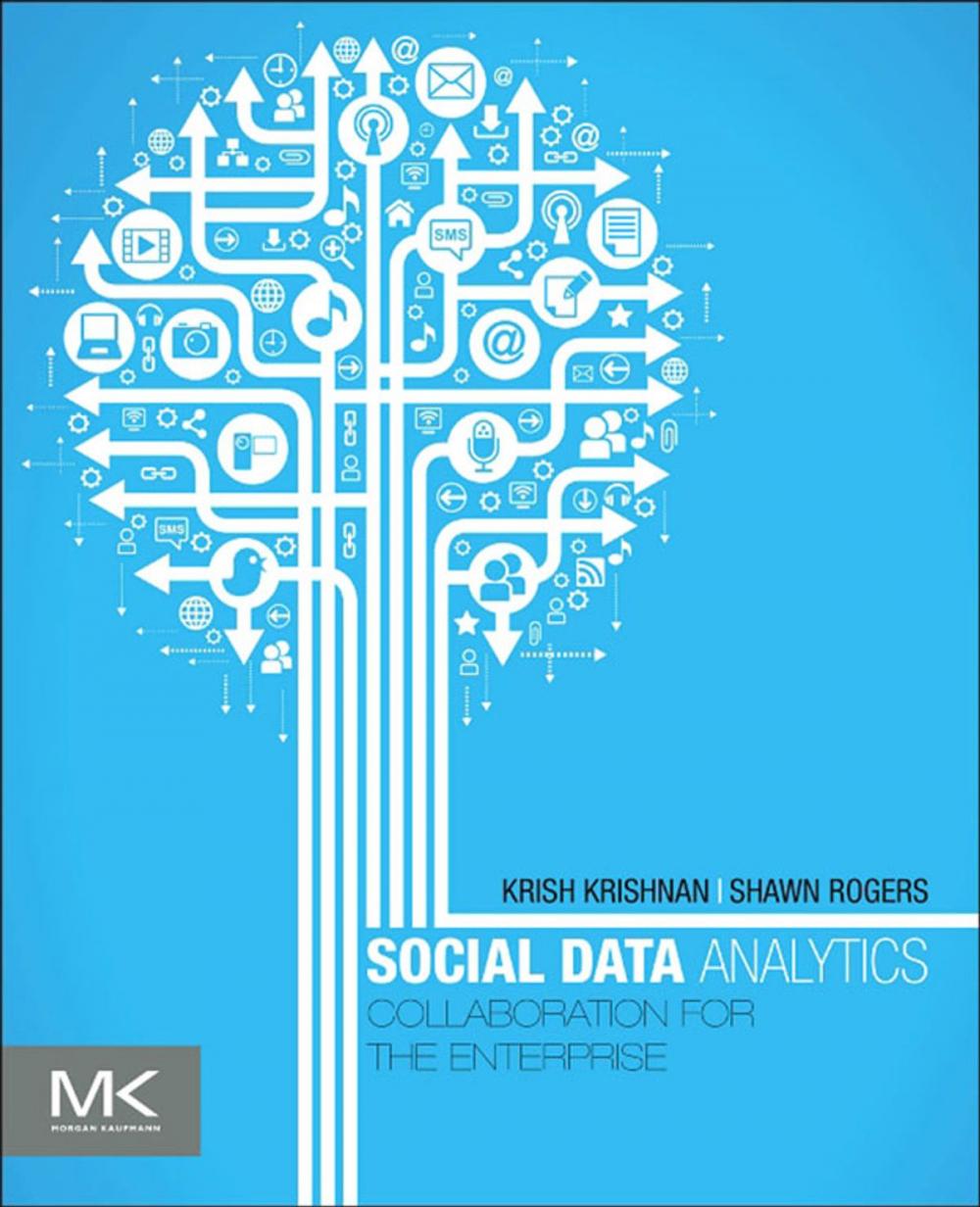 Big bigCover of Social Data Analytics